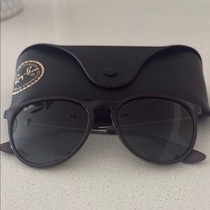 Ericka Ray-Ban Brown Sunglasses with Case